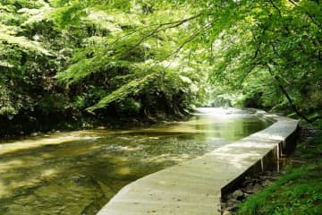 養老渓谷の散策楽しんで　面白峡遊歩道を延伸、新ルート誕生　千葉・大多喜町