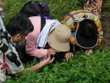 手賀沼の自然観察会「てがたん」は毎月第2土曜