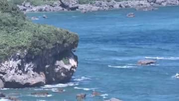 「浅くても危険」宮古島の鍾乳洞ツアーで女性(60)死亡　水深60cmで溺れる　業者は“協定”参加せず…5月にも事故