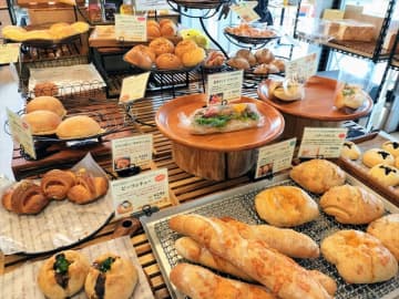 【かしわエリア】2022年上半期オープンのお店リポート