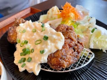 【かしわエリア】2023年上半期オープンのお店リポート
