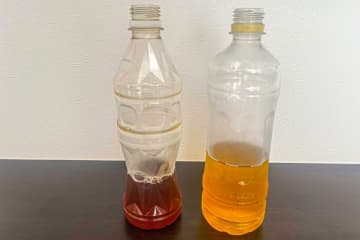 飲みかけのペットボトル、食中毒のリスクに愕然…　「夏の定番ドリンク」も要注意