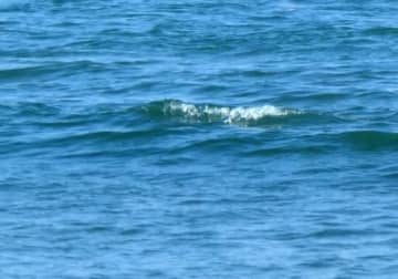 水難事故か　ウエットスーツ姿の男性が意識不明　サーフィン中の女性ら発見　千葉・鴨川の海岸
