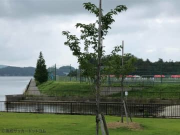 強豪48チーム出場の和倉ユース、いよいよあす開幕
