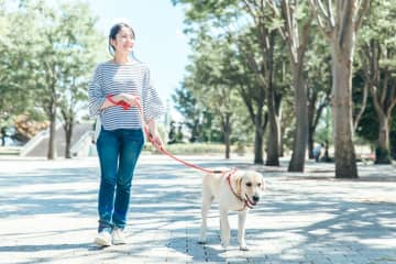 「その散歩ちょっと待って!!」気温30℃で犬の体感は40℃になることも…“炎天下の散歩”の危険性を獣医師に聞いた