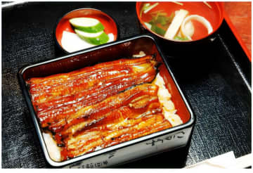 ウナギ料理の「川豊」が成田空港店をオープン　8月21日、千葉の誇る老舗の味を空港で