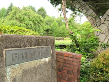 合戦舞台「境目の要」　国府台城（市川市）　【一度は訪れたい　郷土の古城】（1）