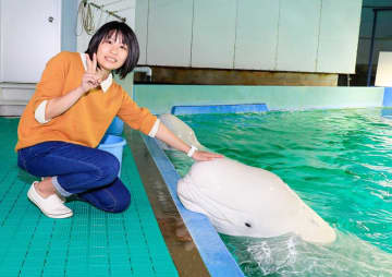 女性限定！ナイト水族館　鴨川シーワールド日帰りプラン　飼育員とおしゃべりディナー、シャチの夜パフォーマンス…　9月23日から