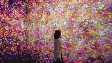 世界を席巻するチームラボ展　姫路市立美術館で4年ぶり2度目の開催