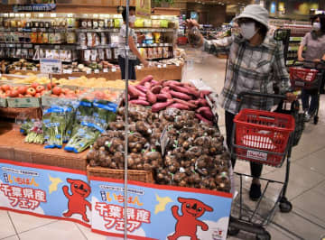 イオンタウンおゆみ野で千葉県産品フェア　県誕生150周年記念　旬の野菜、鮮魚のおいしさ知って