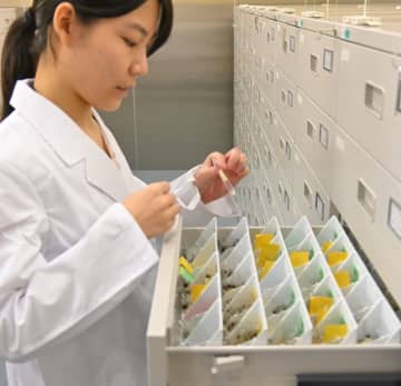 9万5千株の微生物で「ものづくり」支援　NITEバイオテクノロジーセンター
