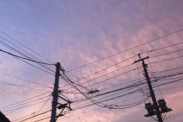 【速報】山武市の停電解消　計1140軒　設備に樹木等接触か