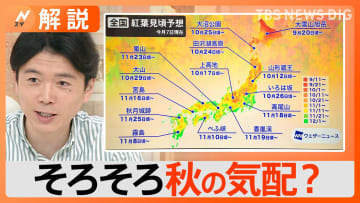 TOPICS摜
