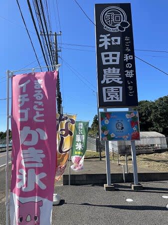 期間限定！「まるごとメロンかき氷」なくなり次第終了！「和田農園」＠印西市