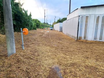 道路埋め尽くす大量の稲わら…　大雨で収穫後の田から流れ出す　茂原