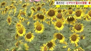 記事の画像