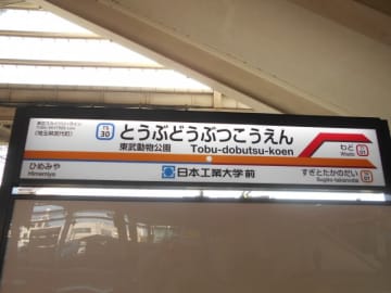 朝まで飲んで田園都市線に乗車、気づいたら東武動物公園にいた男性