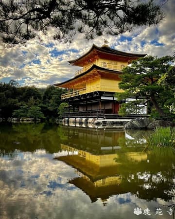 「道端で舞妓さんに…」「錦市場で座り込み」オーバーツーリズム問題が超深刻化！元京都市議も警鐘「いつ事故が起きてもおかしくない」