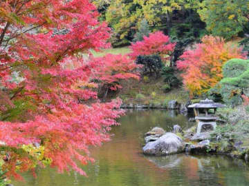 【成田】今年で24回目！成田山公園紅葉まつりが11/11（土）から開催