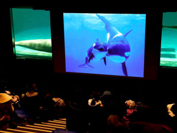 鴨川シーワールド、「家族月間」特別割引　19日に特別レクチャー　海の動物子育て紹介　