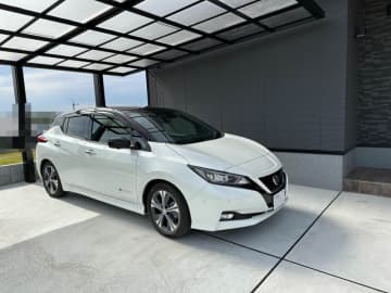 ペーパードライバーがクルマ必須エリアに引越して日産リーフを買った件【オタク家を買う】