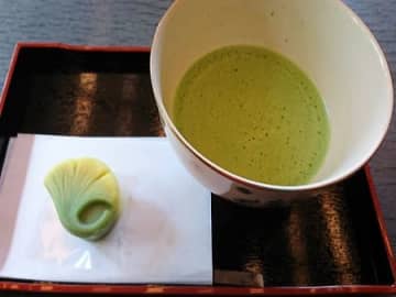 秋バラ香る千葉県立柏の葉公園　茶室「松柏亭」でお抹茶を【柏の葉キャンパス】