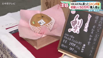         ジャンボ梨「愛宕」　初競りで50万円　愛知・豊田市      