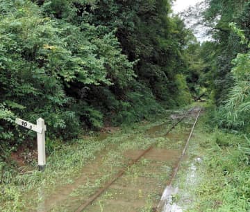 小湊鉄道、月内全線再開へ調整　まず休日から　流入土砂や倒木の撤去進み　台風13号影響、月崎―上総中野間が運休