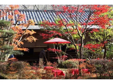 【千葉】深まる秋のおでかけに♪千葉の紅葉スポット5選