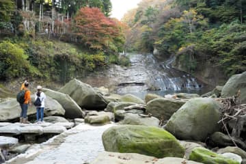 養老渓谷　粟又の滝が見学再開　台風被害の通行止め解除に　紅葉も間もなく見頃