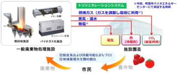 ごみ処理CO2でイチゴ栽培　イオンアグリなど実証実験　全国自治体への展開狙う