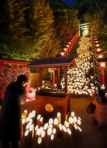 勝浦の宵、幻想的に　竹灯籠で光の川　優しい明かり、神社や商店街包む