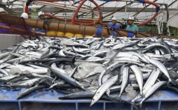 サンマ漁、苦戦続く千葉・銚子　2年ぶり水揚げも期待薄か