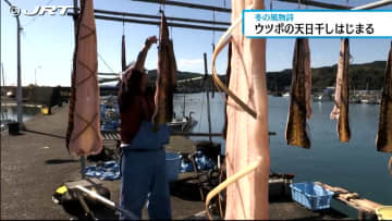         ＜冬の風物詩＞ウツボの天日干しはじまる　牟岐町【徳島】      