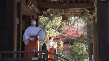         武田神社ですす払い 1年間のほこり払う 新年の準備進む 山梨県      