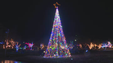         10万球のLEDが冬の夜空彩る 中山池自然公園でイルミネーション 1月3日まで【愛媛】      