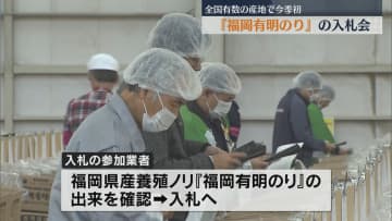         『福岡有明のり』　今シーズン初の入札会　今シーズンは黒く色づき香り豊かな仕上がり      