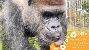 新たな推し活“推し動物”　好きな動物にエサをプレゼント　動物園の経営改善やフードロスにも貢献