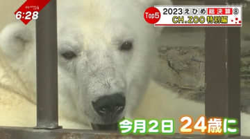         赤ちゃん誕生や涙のお別れに…白くまピースは24歳に！今年も魅力満載だった「とべZOO名場面5選」      