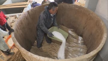         パリパリとした甘み　伝統野菜「守口だいこん」の漬け込み作業　1年かけてべっ甲色に　岐阜市      