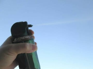 「トコジラミ＝南京虫」に注意を　自治体がウェブサイトで警告