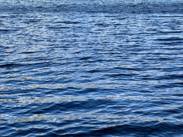海に転落か　銚子で釣り行方不明の男性、死亡　犬若港沖合の海底で発見