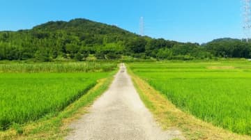 田舎だと「趣味が車・パチンコ・釣り・散歩しかない」という投稿に思うこと
