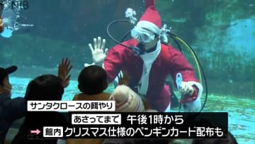         ペンギンに“味な”クリスマスプレゼント　長崎の水族館でサンタ姿のダイバーが餌やり《長崎》      