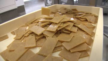         きなこの原料「大豆」にこだわり 北杜市の金精軒が大豆ミートを製造 総菜店もオープンへ 山梨県      