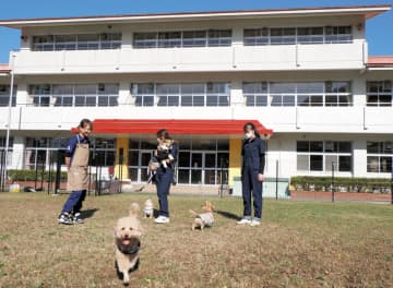 小学校跡地に芝生ドッグラン　カフェ備え、犬用スイーツも　愛犬家癒やしの場に　富津の「マメノキドッグパーク」