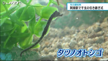         ウサギからタツノオトシゴへ交代　阿南市で「卯」から「辰」へ干支の引き継ぎ式【徳島】      