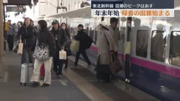         東北新幹線下りの混雑ピークは30日か　年末年始を福島県で過ごす帰省が始まる      