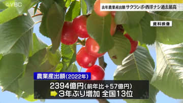         サクランボ378億円・西洋ナシ66億円 2022年の農業産出額過去最高　      