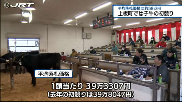         食肉用の子牛の初競り　1頭当たりの平均落札価格は約39万円と去年とほぼ同じ水準の取り引き【徳島】      